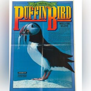 Rare Instructor Magazine Nov 1979 Puffin Bird Poster Calendar